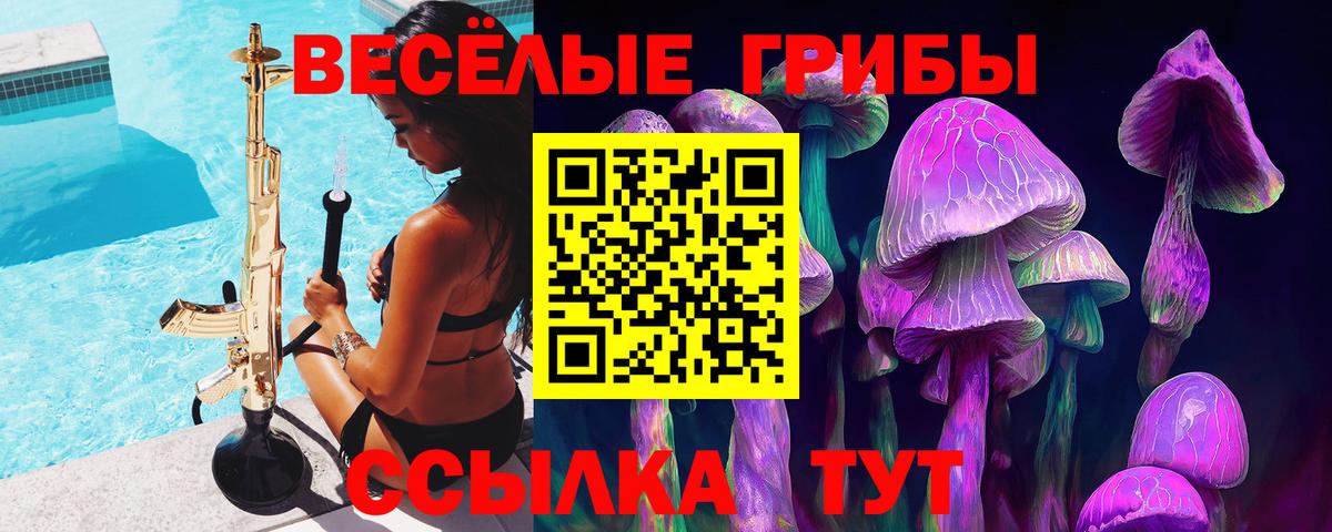 Донской  Галлюциногенные грибы мицелий  Вход с VPN  Галлюциногенные грибы мухоморы 